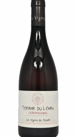 Chasselas Amphore - Blanc Cépages : Chasselas