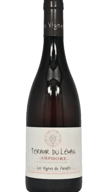 Chasselas Amphore - Blanc Cépages : Chasselas