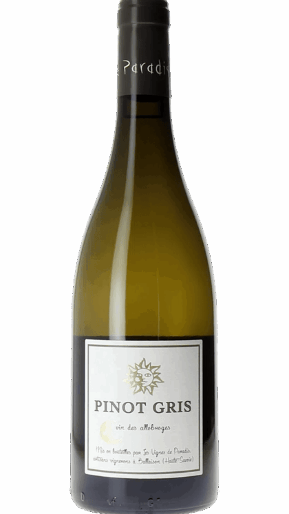 IGP Pinot Gris - Blanc - IGP Vin des Allobroges