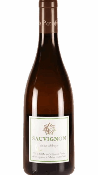 IGP Sauvignon - Blanc - IGP Vin des Allobroges
